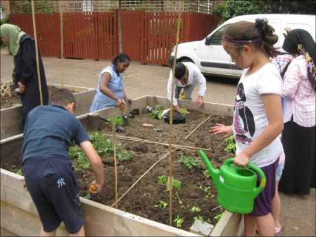 A raised bed in Tower Hamlets (Phase 1)